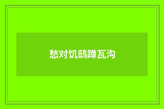 愁对饥鸱蹲瓦沟