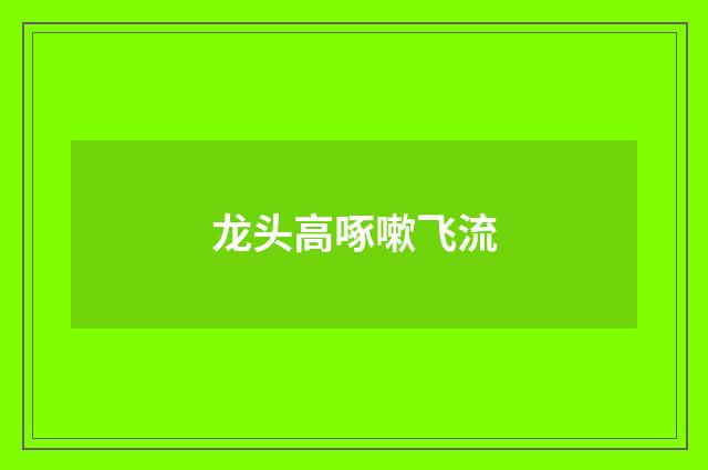 龙头高啄嗽飞流