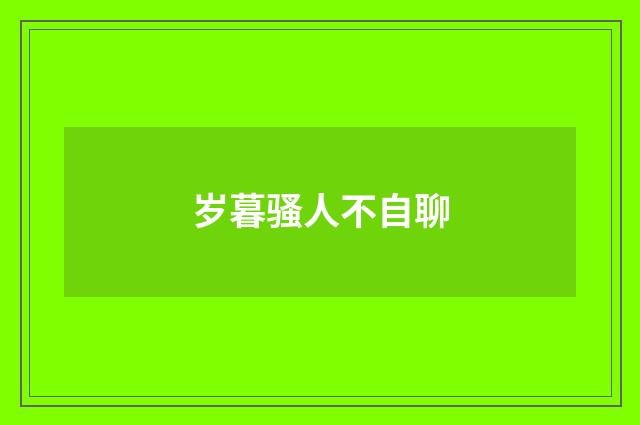 岁暮骚人不自聊