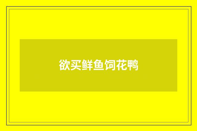欲买鲜鱼饲花鸭