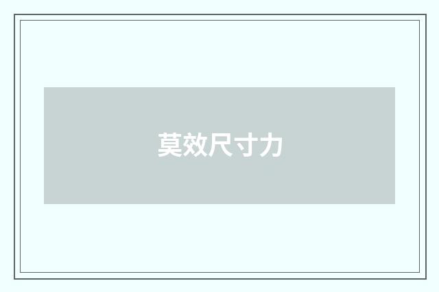 莫效尺寸力
