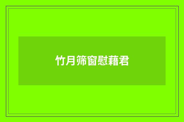 竹月筛窗慰藉君