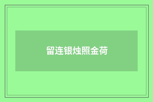 留连银烛照金荷