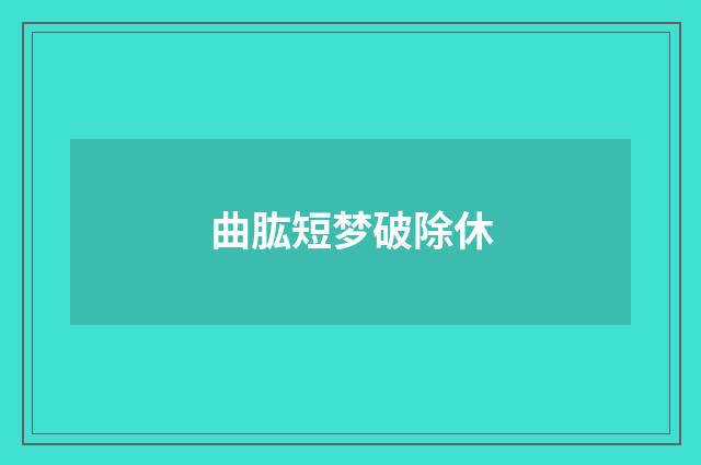 曲肱短梦破除休