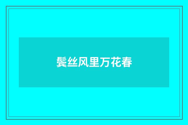 鬓丝风里万花春