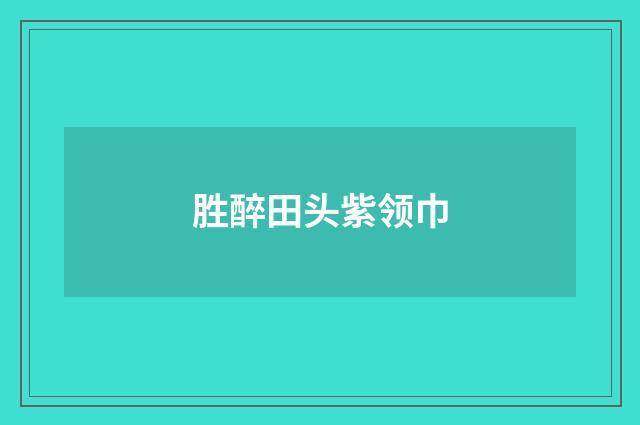 胜醉田头紫领巾