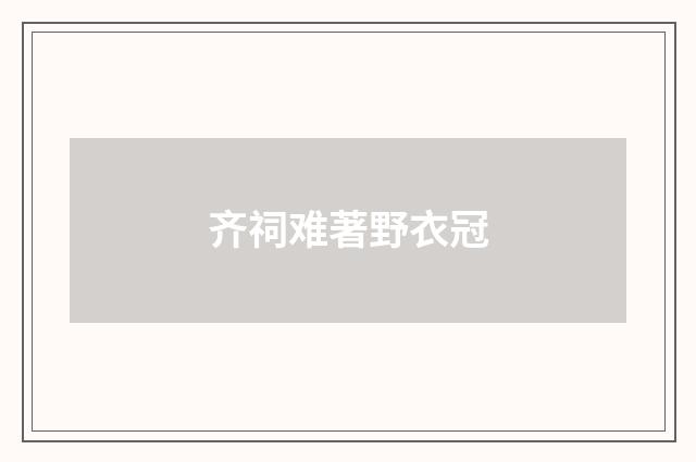 齐祠难著野衣冠