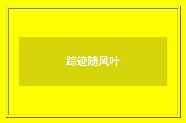 踪迹随风叶