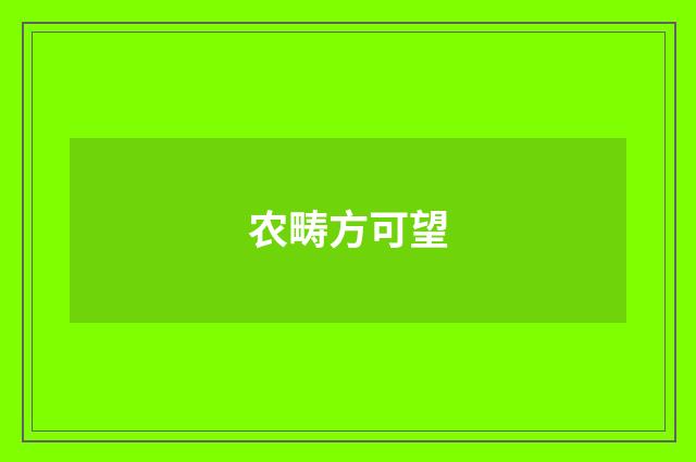 农畴方可望