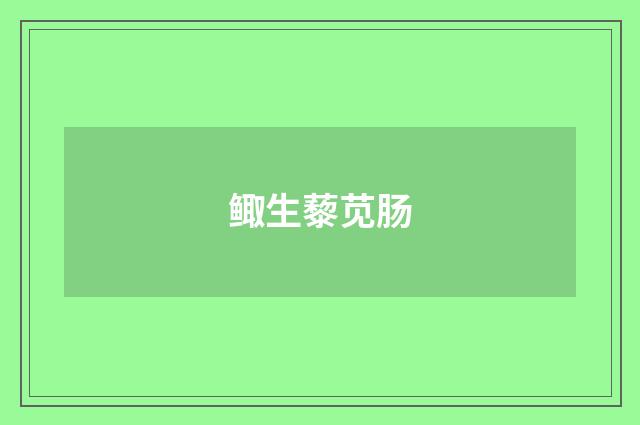 鲰生藜苋肠