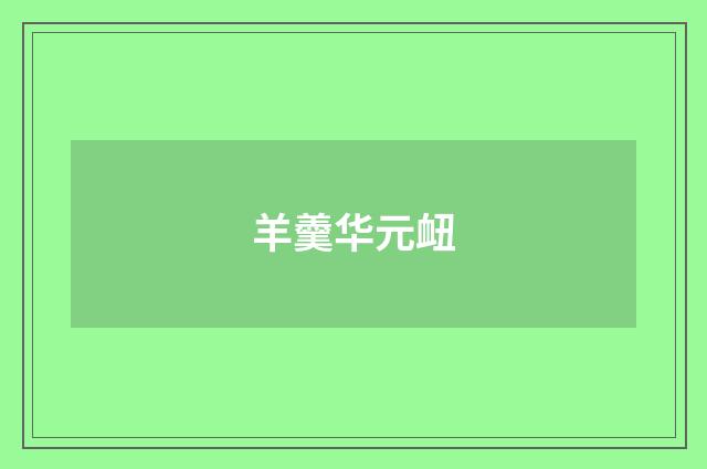 羊羹华元衄