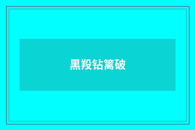 黑羖钻篱破