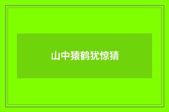 山中猿鹤犹惊猜