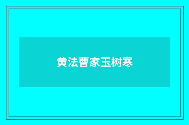 黄法曹家玉树寒