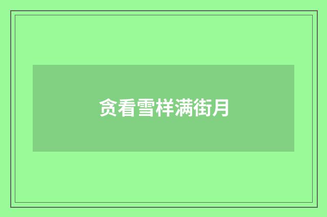 贪看雪样满街月