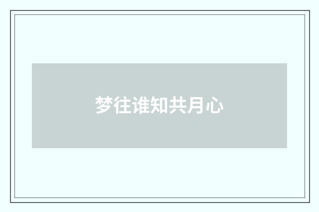 梦往谁知共月心