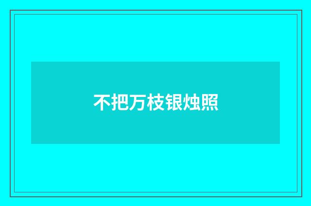 不把万枝银烛照