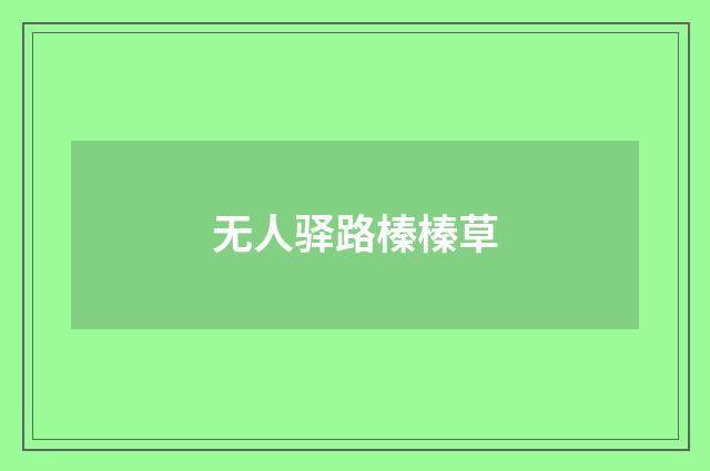 无人驿路榛榛草