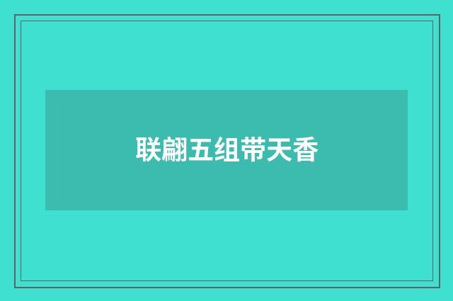 联翩五组带天香