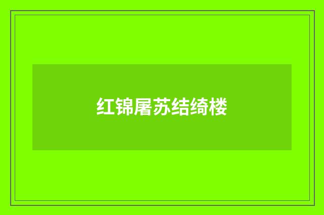 红锦屠苏结绮楼
