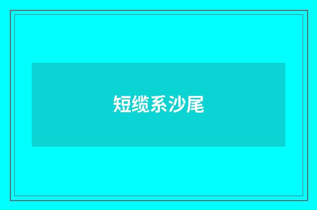 短缆系沙尾