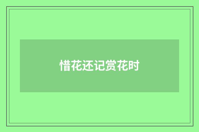 惜花还记赏花时