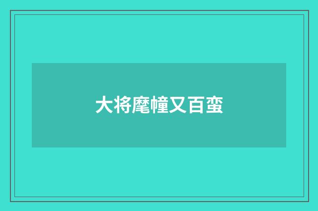 大将麾幢又百蛮