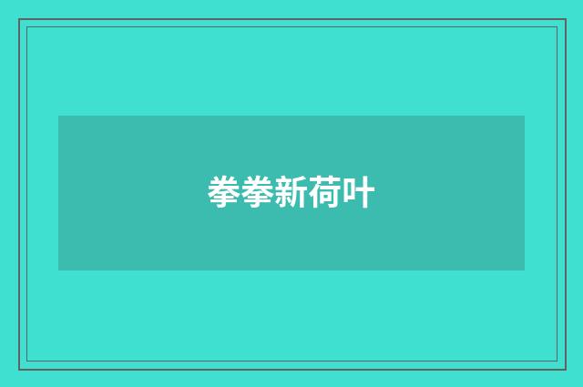 拳拳新荷叶