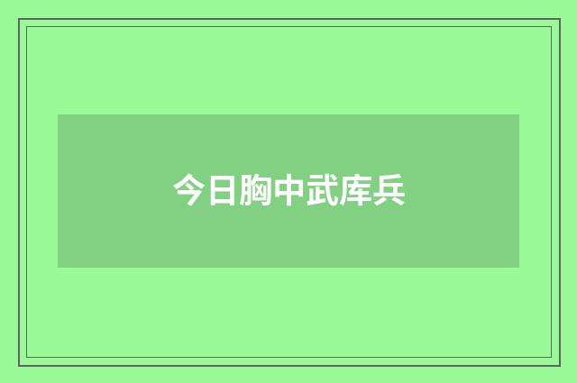 今日胸中武库兵
