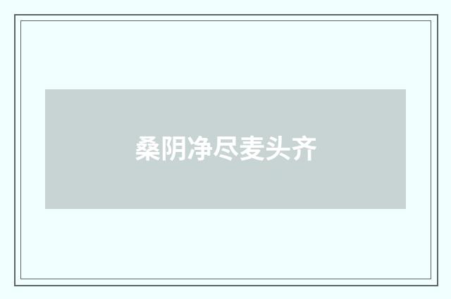 桑阴净尽麦头齐