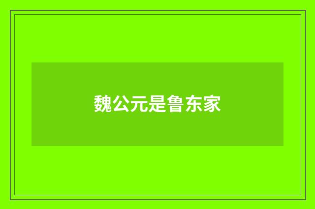 魏公元是鲁东家