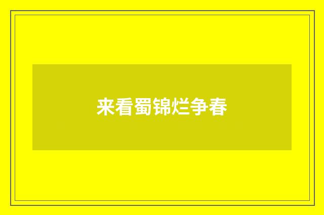 来看蜀锦烂争春