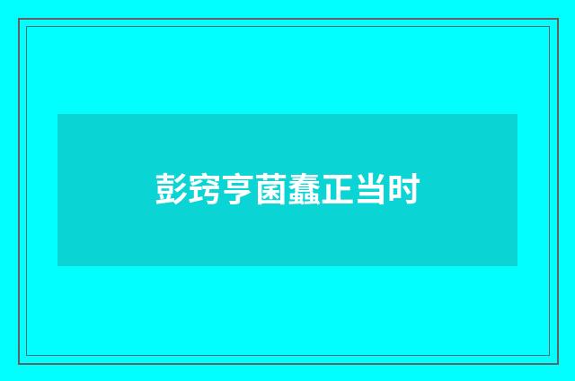 彭窍亨菌蠢正当时