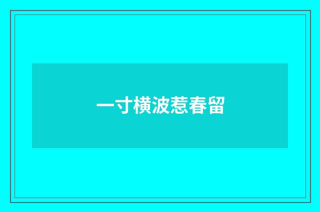 一寸横波惹春留