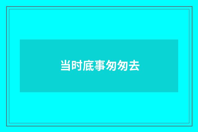 当时底事匆匆去