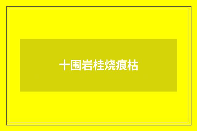 十围岩桂烧痕枯