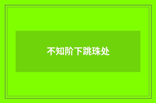不知阶下跳珠处