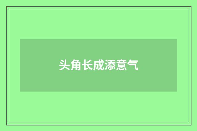 头角长成添意气