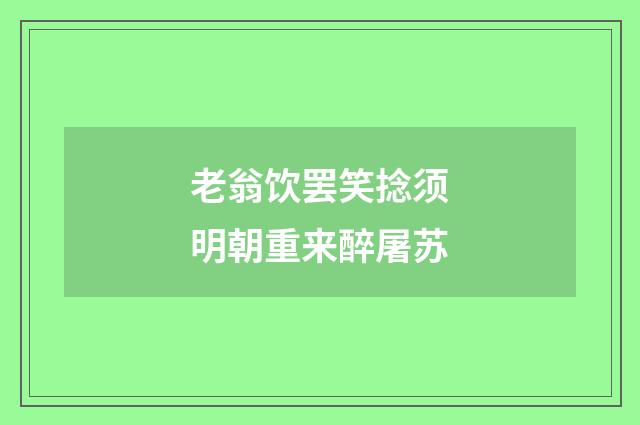 老翁饮罢笑捻须明朝重来醉屠苏