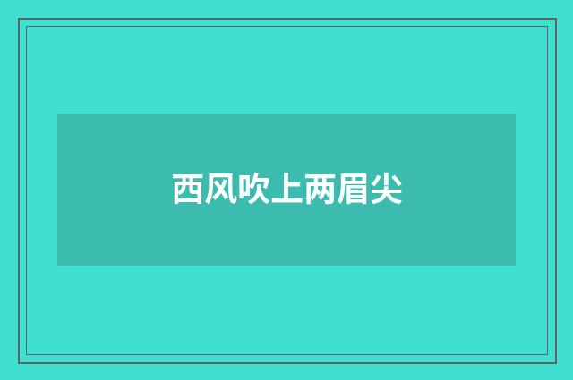西风吹上两眉尖
