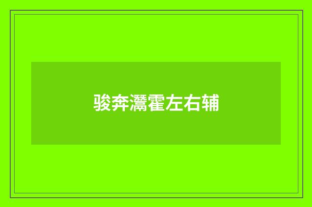 骏奔灊霍左右辅