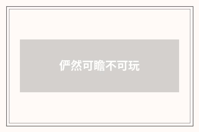 俨然可瞻不可玩