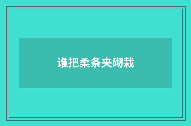 谁把柔条夹砌栽