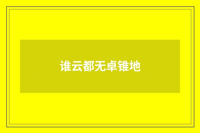 谁云都无卓锥地