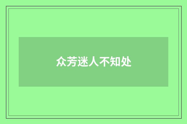 众芳迷人不知处