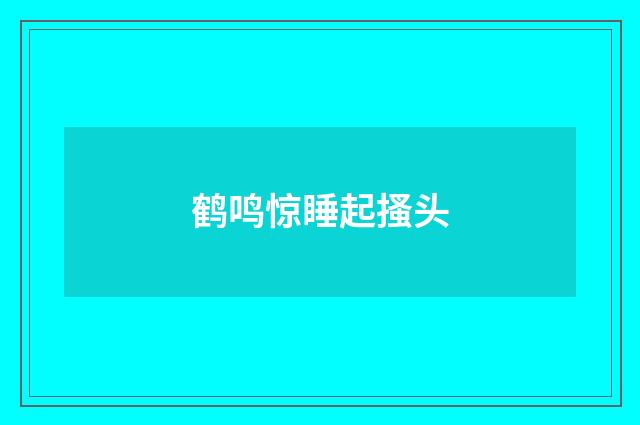 鹤鸣惊睡起搔头