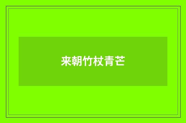 来朝竹杖青芒