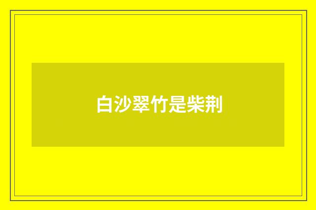 白沙翠竹是柴荆