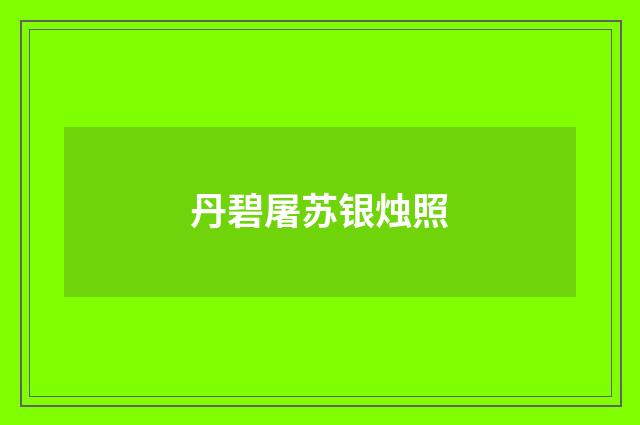 丹碧屠苏银烛照