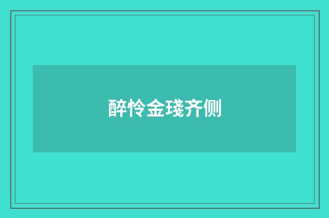 醉怜金琖齐侧